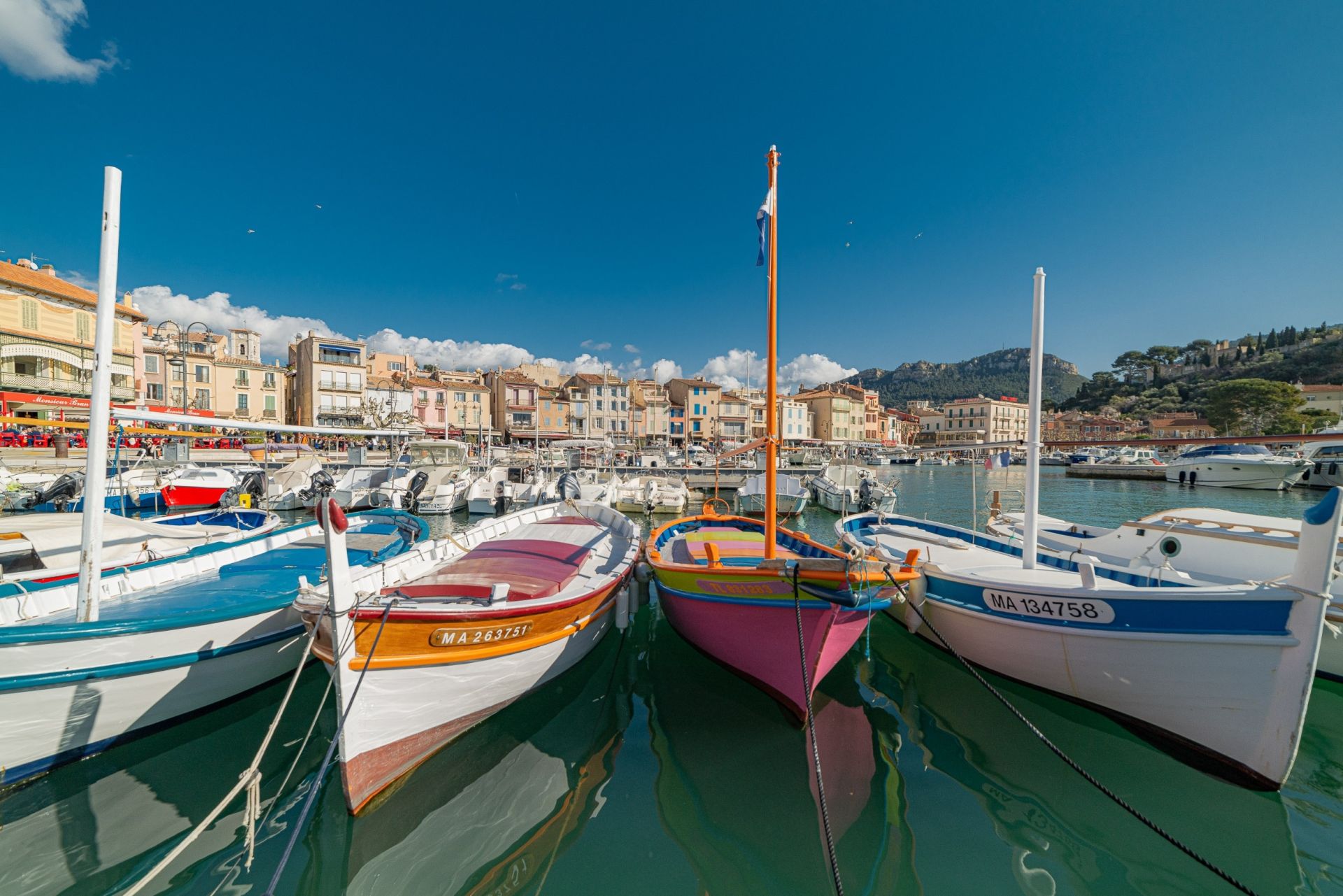 luxury property 15 Rooms for seasonal rent on CASSIS (13260)