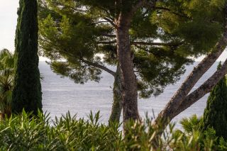 maison de luxe 7 Pièces en vente sur CARRY LE ROUET (13620)