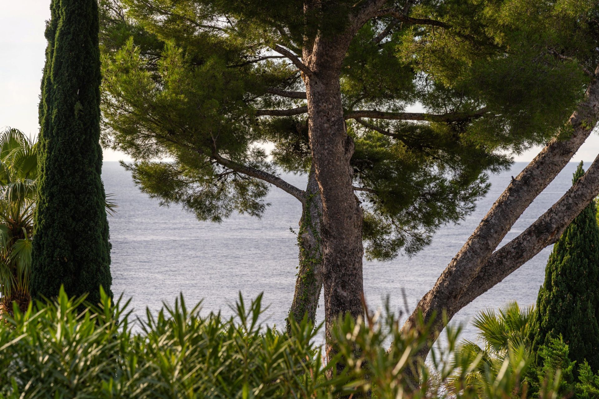 maison de luxe 7 Pièces en vente sur CARRY LE ROUET (13620)