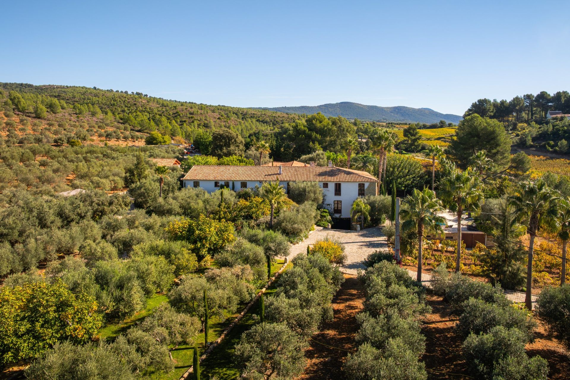 maison de luxe 20 Pièces en vente sur LE CASTELLET (83330)