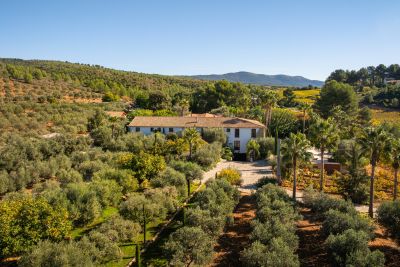 Vente Le Castellet Maison de luxe 20&nbsp;Pièces 900&nbsp;m²