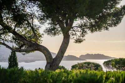 Sale Marseille 7 Architect's house 5&nbsp;Rooms 252&nbsp;m²