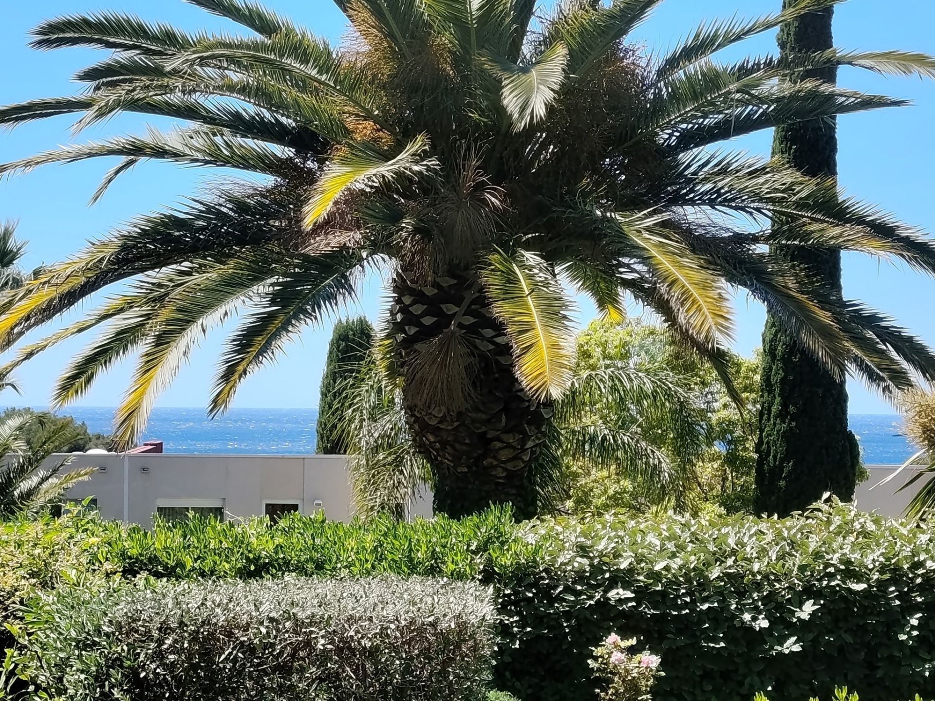 luxury apartment 2 Rooms for sale on CASSIS (13260)