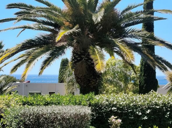 Sale Cassis Luxury apartment 2&nbsp;Rooms 51&nbsp;m²