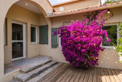 Location Cassis Maison de luxe 5&nbsp;Pièces 129&nbsp;m²