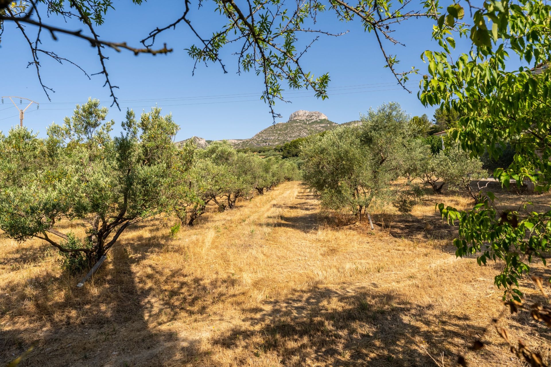 maison de luxe 5 Pièces en location sur AUBAGNE (13400)