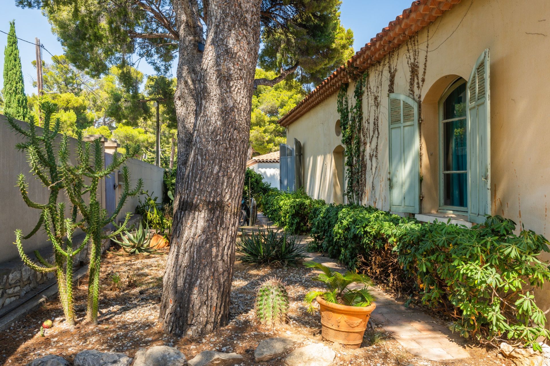 luxury villa 9 Rooms for sale on CASSIS (13260)