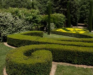 castle 18 Rooms for seasonal rent on MARSEILLE (13011)