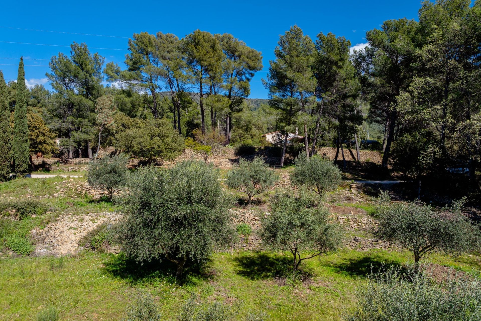 luxury house 5 Rooms for sale on LE BEAUSSET (83330)