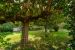 luxury house 9 Rooms for sale on AUBAGNE (13400)